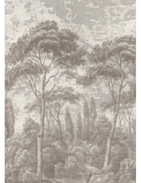 PAPIER PEINT - PINS ET CYPRES