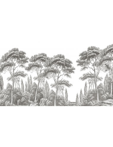 PAPIER PEINT - PINS ET CYPRES