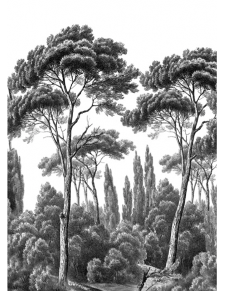 PAPIER PEINT - PINS ET CYPRES