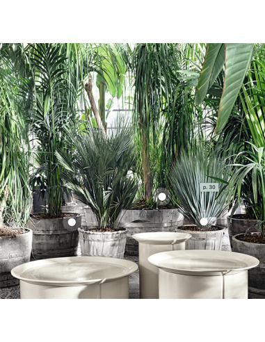 table basse Gervasoni