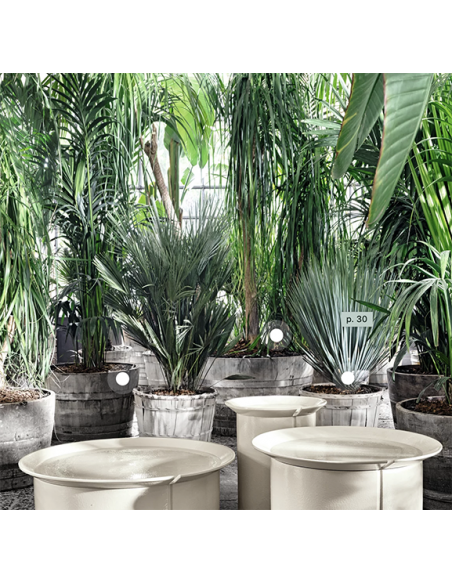 table basse Gervasoni