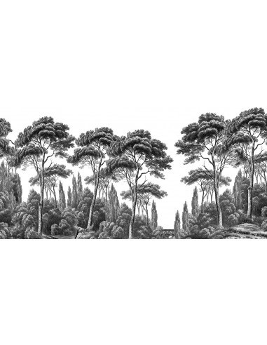 PAPIER PEINT - ANANBÔ - PINS & CYPRES