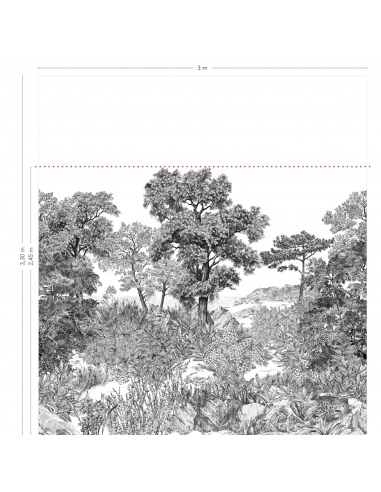 PAPIER PEINT FORÊT DE BRETAGNE GRISAILLE...