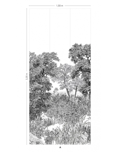 PAPIER PEINT FORÊT DE BRETAGNE GRISAILLE...