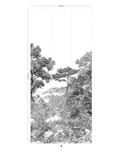 PAPIER PEINT FORÊT DE BRETAGNE GRISAILLE...