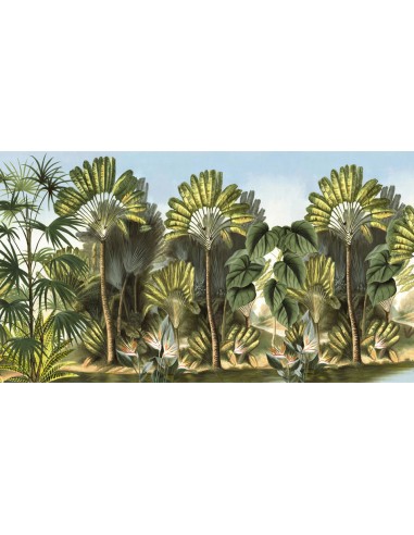 PAPIER PEINT - ANANBÔ - NOSY BE