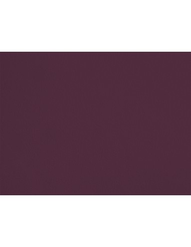 PEINTURE RESSOURCES - AUBERGINE - SL16