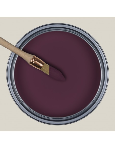 PEINTURE RESSOURCES - AUBERGINE - SL16