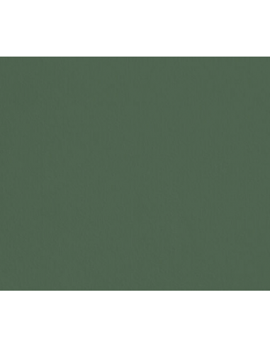 PEINTURE RESSOURCES - EUCALYPTUS - SL33