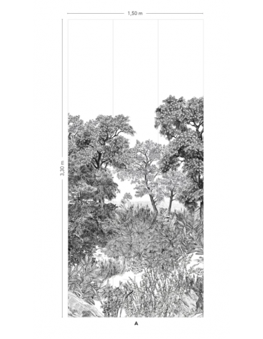 PAPIER PEINT FORÊT DE BRETAGNE GRISAILLE -...