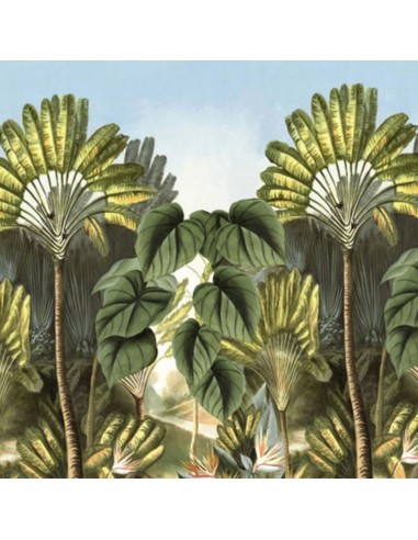 PAPIER PEINT - ANANBÔ - NOSY BE