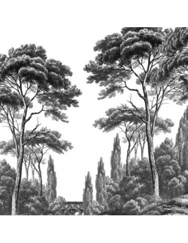 PAPIER PEINT - ANANBÔ - PINS & CYPRES