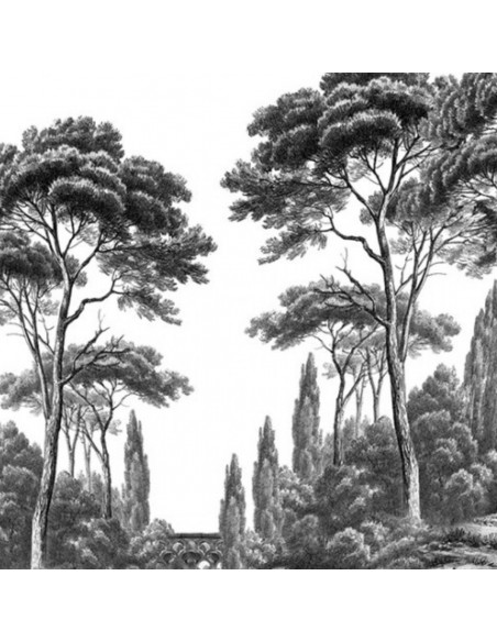 PAPIER PEINT - ANANBÔ - PINS & CYPRES