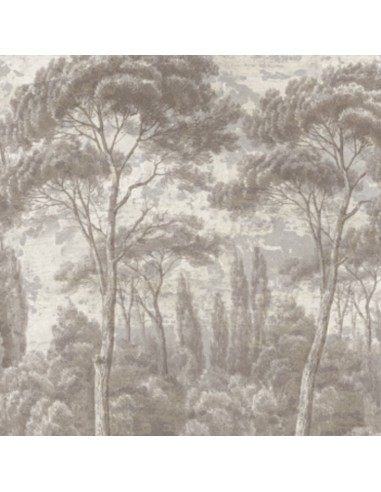 PAPIER PEINT - PINS ET CYPRES