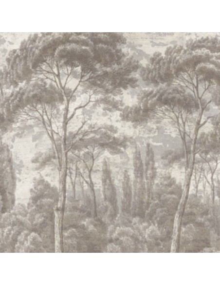 PAPIER PEINT - PINS ET CYPRES