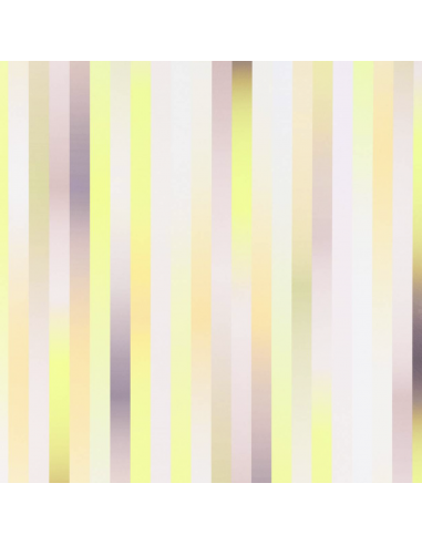 PAPIER-PEINT - Large Stripes