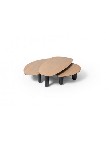 Table basse galet - MM - 120x66 cm