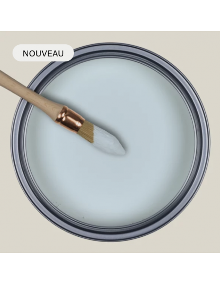 PEINTURE RESSOURCES X SARAH LAVOINE - CELESTE - SL51