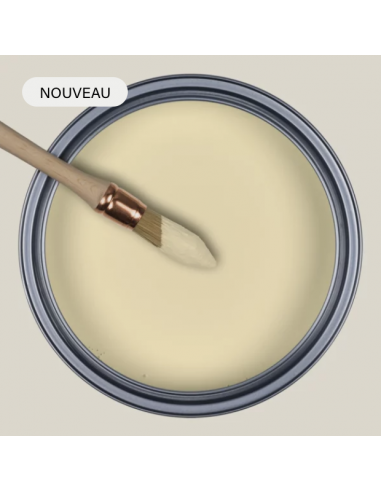 PEINTURE RESSOURCES X SARAH LAVOINE - DUNE - SL46