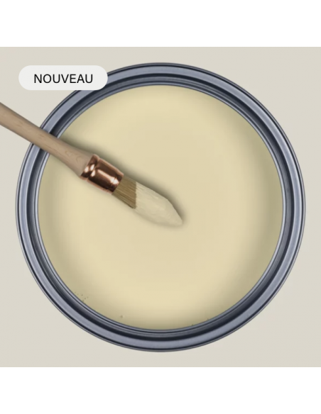 PEINTURE RESSOURCES X SARAH LAVOINE - DUNE - SL46
