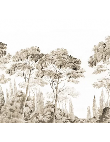 PAPIER PEINT - ANANBÔ - LES ALPILLES