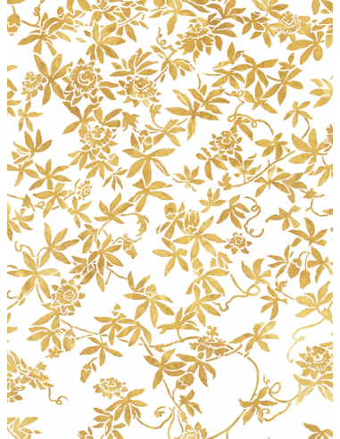 Papier peint Passiflores