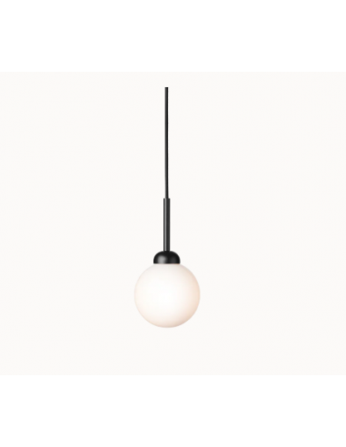 Suspension Apiales 1