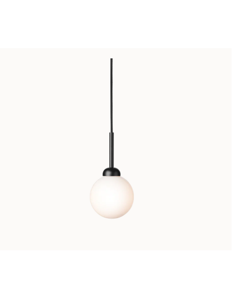 Suspension Apiales 1