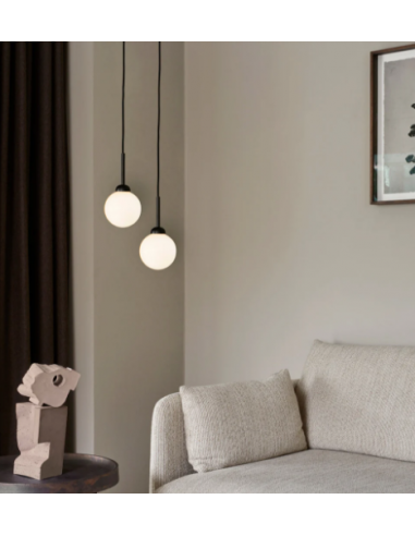 Suspension Apiales 1