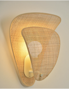 Appliques Coquillage 1l 2