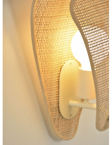 Appliques Coquillage 1l