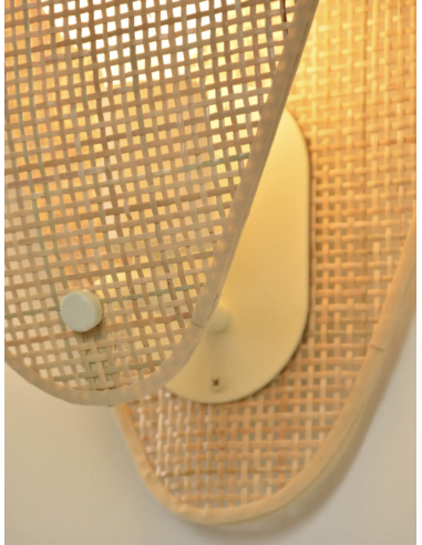 Appliques Coquillage 1l