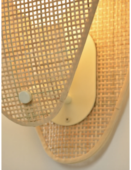 Appliques Coquillage 1l