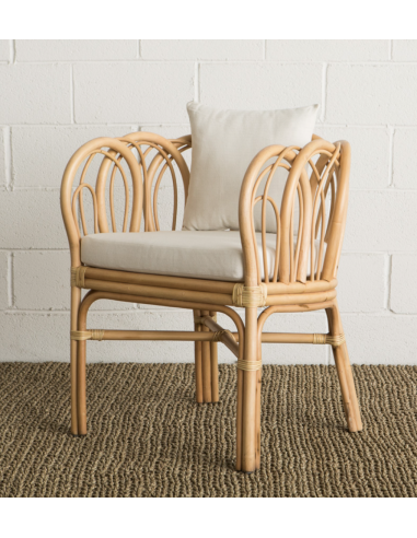 Fauteuil en rotin courbe