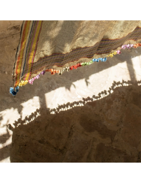 Rideau Dupatta