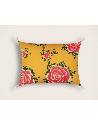 Coussin Liao